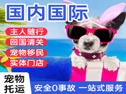 三女河机场快递国际宠物托运 【国